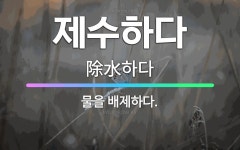 🌟제수하다: 물을 배제하다. - 표준국어대사전