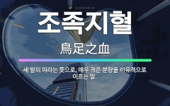 조족지혈: 새 발의 피라는 뜻으로, 매우 적은 분량을 비유적으로 이르는 말. - 표준국어대사전