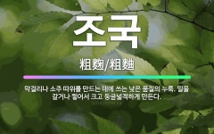 🌟조국: 막걸리나 소주 따위를 만드는 데에 쓰는 낮은 품질의 누룩. 밀을 갈거나 찧어서 크고 둥글넓적하게 ... - 표준국어대사전