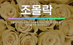 🌟조몰락: ‘조몰락거리다’의 어근. (조몰락거리다: 작은 동작으로 물건 따위를 자꾸 주무르다.) - 표준국어대사전