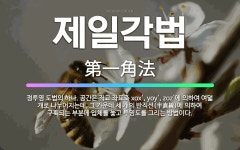 🌟제일각법: 정투영 도법의 하나. 공간은 직교 좌표축 xox, yoy, zoz에 의하여 여덟 개로 나... - 표준국어대사전