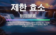 🌟제한 효소: 디엔에이(DNA)의 특정의 염기 배열을 식별하여 절단하는 효소. 세포에 침입하는 외래의 디엔... - 표준국어대사전