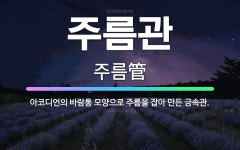 🌟주름관: 아코디언의 바람통 모양으로 주름을 잡아 만든 금속관. - 표준국어대사전