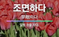 🌟조면하다: 일찍 잠을 자다. - 표준국어대사전