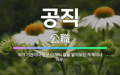 🌟공직: 국가 기관이나 공공 단체의 일을 맡아보는 직책이나 직무. - 표준국어대사전