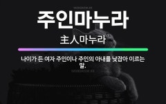 🌟주인마누라: 나이가 든 여자 주인이나 주인의 아내를 낮잡아 이르는 말. - 표준국어대사전