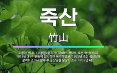 🌟죽산: ‘조봉암’의 호. (조봉암: 정치가(1898~1959). 호는 죽산(竹山). 1919년 3ㆍ1 운... - 표준국어대사전