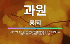 🌟과원: 과실나무를 심은 밭. 흔히 먹을 수 있는 열매를 얻기 위하여 배나무, 감나무, 밤나무, 대추나무 ... - 표준국어대사전