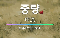 🌟중량: 좀 굵게 만든 갓양태. - 표준국어대사전