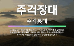🌟주걱장대: 십자화과의 두해살이풀. 높이는 35~75cm이며, 잎은 주걱 모양이다. 5~6월에 꽃이 총상(... - 표준국어대사전