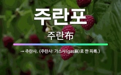 🌟주란포: → 주란사. (주란사: 가스사(gas絲)로 짠 피륙.) - 표준국어대사전