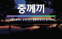 🌟중께끼: 살풀이춤에서, 장께끼보다 팔을 덜 굽히는 춤사위. - 표준국어대사전