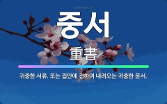 🌟중서: 귀중한 서류. 또는 집안에 전하여 내려오는 귀중한 문서. - 표준국어대사전