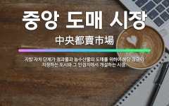🌟중앙 도매 시장: 지방 자치 단체가 청과물과 농수산물의 도매를 위하여 해당 장관이 지정하는 도시와 그 인... - 표준국어대사전