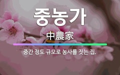 🌟중농가: 중간 정도 규모로 농사를 짓는 집. - 표준국어대사전