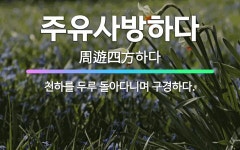 🌟주유사방하다: 천하를 두루 돌아다니며 구경하다. - 표준국어대사전