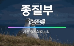 🌟종질부: 사촌 형제의 며느리. - 표준국어대사전