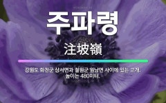🌟주파령: 강원도 화천군 상서면과 철원군 원남면 사이에 있는 고개. 높이는 480미터. - 표준국어대사전