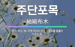 🌟주단포목: 명주, 비단, 베, 무명 따위의 온갖 직물류를 통틀어 이르는 말. - 표준국어대사전