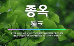 🌟종옥: 미인을 아내로 삼음. ≪수신기≫에 중국 한나라의 양공(楊公) 옹백(雍伯)이 옥을 심어 미인 아내를... - 표준국어대사전