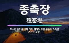 🌟종축장: 우수한 새끼를 낳게 하기 위하여 우량 품종의 가축을 기르는 목장. - 표준국어대사전