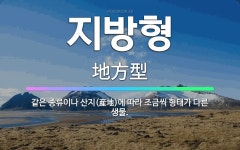 🌟지방형: 같은 종류이나 산지(産地)에 따라 조금씩 형태가 다른 생물. - 표준국어대사전