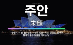 🌟주안: 붉은 얼굴이라는 뜻으로, 젊어서 혈색이 좋은 얼굴을 이르는 말., 술을 마셔 붉어진 얼굴. - 표준국어대사전