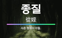 🌟종질: 사촌 형제의 아들. - 표준국어대사전