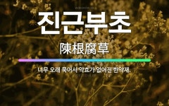 🌟진근부초: 너무 오래 묵어서 약효가 없어진 한약재. - 표준국어대사전