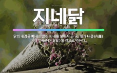 🌟지네닭: 닭의 내장을 빼내고 말린 지네를 넣어서 곤 국. 대개 내종(內腫)이나 부족증(不足症)에 약으로 ... - 표준국어대사전