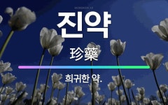 🌟진약: 희귀한 약. - 표준국어대사전