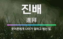 🌟진배: 웃어른에게 나아가 절하고 뵙는 일. - 표준국어대사전