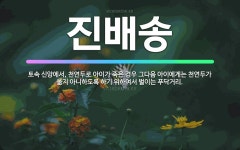 🌟진배송: 토속 신앙에서, 천연두로 아이가 죽은 경우 그다음 아이에게는 천연두가 옮지 아니하도록 하기 위하... - 표준국어대사전
