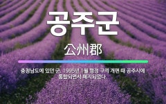 🌟공주군: 충청남도에 있던 군. 1995년 1월 행정 구역 개편 때 공주시에 통합되면서 폐지되었다. - 표준국어대사전