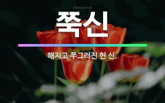 🌟쭉신: 해지고 쭈그러진 헌 신. - 표준국어대사전