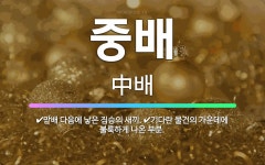 🌟중배: 맏배 다음에 낳은 짐승의 새끼., 기다란 물건의 가운데에 불룩하게 나온 부분. - 표준국어대사전