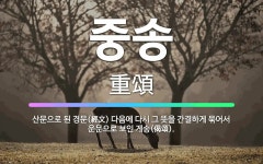 🌟중송: 산문으로 된 경문(經文) 다음에 다시 그 뜻을 간결하게 묶어서 운문으로 보인 게송(偈頌). - 표준국어대사전