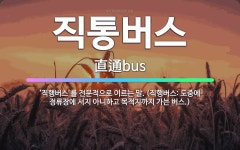 🌟직통버스: ‘직행버스’를 전문적으로 이르는 말. (직행버스: 도중에 정류장에 서지 아니하고 목적지까지 가... - 표준국어대사전