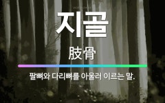 🌟지골: 팔뼈와 다리뼈를 아울러 이르는 말. - 표준국어대사전