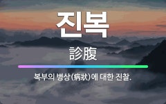 🌟진복: 복부의 병상(病狀)에 대한 진찰. - 표준국어대사전