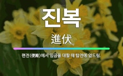 🌟진복: 편전(便殿)에서 임금을 대할 때 탑전에 엎드림. - 표준국어대사전