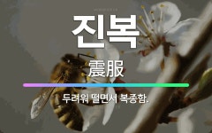 🌟진복: 두려워 떨면서 복종함. - 표준국어대사전