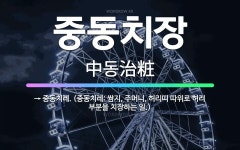 🌟중동치장: → 중동치레. (중동치레: 쌈지, 주머니, 허리띠 따위로 허리 부분을 치장하는 일.) - 표준국어대사전