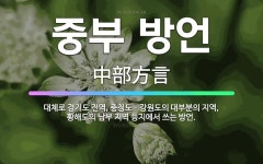 🌟중부 방언: 대체로 경기도 전역, 충청도ㆍ강원도의 대부분의 지역, 황해도의 남부 지역 등지에서 쓰는 방언. - 표준국어대사전