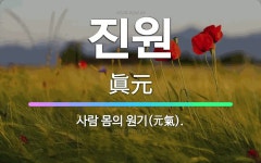 🌟진원: 사람 몸의 원기(元氣). - 표준국어대사전