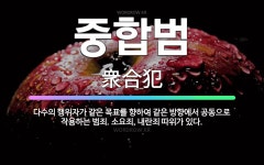 🌟중합범: 다수의 행위자가 같은 목표를 향하여 같은 방향에서 공동으로 작용하는 범죄. 소요죄, 내란죄 따위... - 표준국어대사전