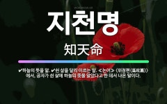 🌟지천명: 하늘의 뜻을 앎., 쉰 살을 달리 이르는 말. ≪논어≫ <위정편(爲政篇)>에서, 공자가 쉰 살에... - 표준국어대사전