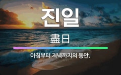 🌟진일: 아침부터 저녁까지의 동안. - 표준국어대사전