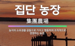 🌟집단 농장: 농지의 소유권을 공동으로 가지고 협동하여 조직적으로 경영하는 농장. - 표준국어대사전