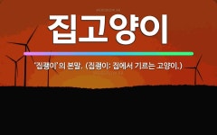 🌟집고양이: ‘집괭이’의 본말. (집괭이: 집에서 기르는 고양이.) - 표준국어대사전